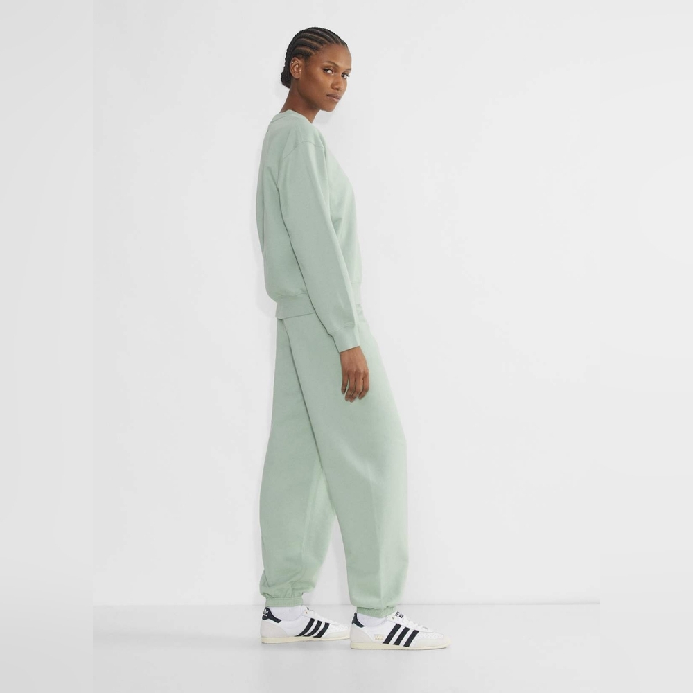 aritzia x Tna high altitude club crewneck